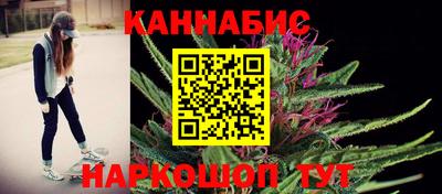 молекула духа Кингисепп