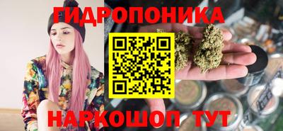 прущие грибы Вязники