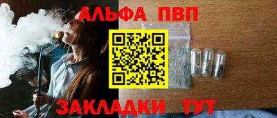 молекула духа Кингисепп