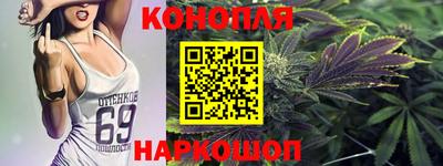молекула духа Кингисепп