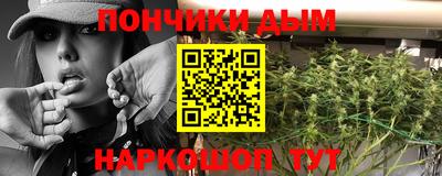 молекула духа Кингисепп