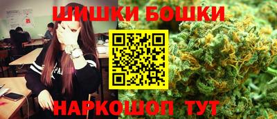 молекула духа Кингисепп