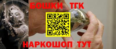 молекула духа Кингисепп