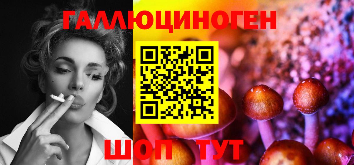 Галлюциногенные грибы Psilocybe Орехово-Зуево